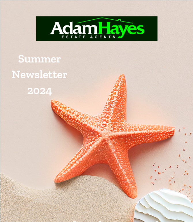Summer Newsletter 2024