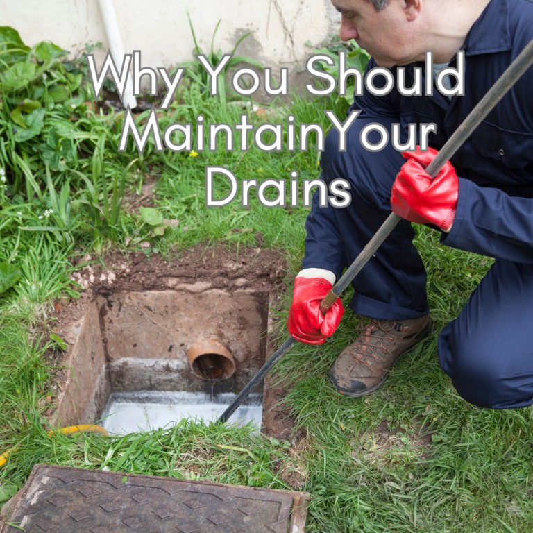 Why Maintaining Your Drains is Essential for a Healthy Home